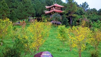 Nhiều người lỡ hẹn viếng mộ Đại tướng Võ Nguyên Giáp vì không nắm giờ quy định