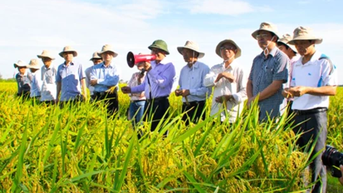 Đẩy mạnh ứng dụng công nghệ thông tin, chuyển đổi số trong khuyến nông