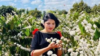 Dự báo giá cà phê ngày mai 21/2/2025 xu hướng tăng tiếp