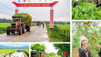 Xây dựng nông thôn hiện đại: Thu nhập dân cư phải cao không kém khu vực đô thị