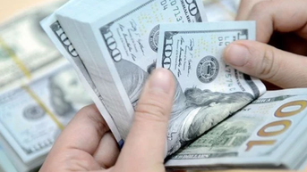 Tỷ giá ngoại tệ ngày 20/2/2025: USD và NDT biến động nhẹ