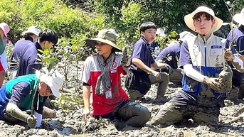 Bạn trẻ Hàn Quốc tới TP.HCM lội sình trồng cây, kết nối hữu nghị