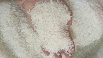 Từ đỉnh cao sốt giá toàn cầu, giá gạo rơi chạm đáy, gạo ở chợ Việt giảm 1000 đồng