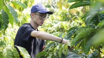 Giá cà phê hôm nay 21/2/2025 duy trì đà tăng nhẹ
