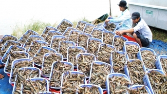 Ngành da giày, thủy sản gấp đôi lợi thế