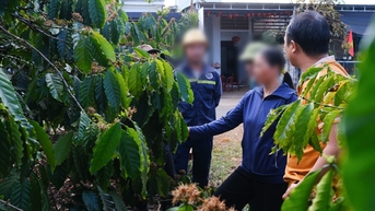 Vụ đóng bảo hiểm xã hội bằng cà phê: Luật sư phân tích