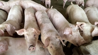 Khu vực miền Nam lập đỉnh