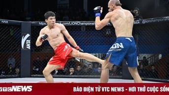 Đấu MMA đồng đội lần đầu xuất hiện tại Việt Nam