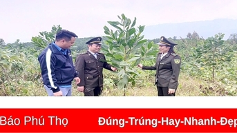 Chú trọng công tác phát triển rừng