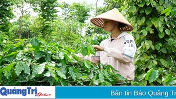 Bảo vệ và phát triển tài sản trí tuệ