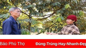 Phát huy vai trò đảng viên trong vùng đồng bào DTTS