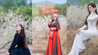 ទស្សនារដូវផ្ការីកនៅ Binh Lieu