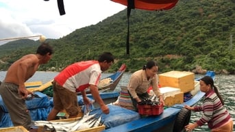 Kiêm nghề thủy sản và du lịch ở đảo Cù Lao Chàm