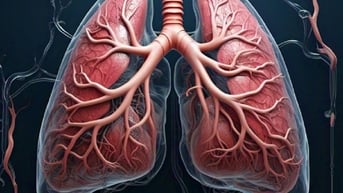 Để phổi khỏe, cần ưu tiên ăn những loại trái cây nào?
