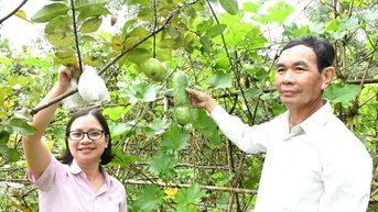 Hưởng ứng "tín dụng xanh", Quảng Nam chờ cơ chế, chính sách khơi thông