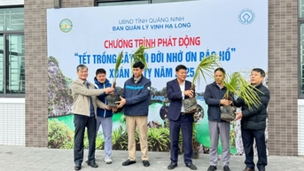 Khôi phục màu xanh các di sản
