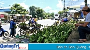 Đề xuất bổ sung, tích hợp chợ chuối xã Tân Long vào Quy hoạch tỉnh Quảng Trị