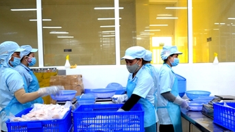 Xuất khẩu nông lâm - thủy sản cả nước tháng 1/2025 giảm 4,9% so với cùng kỳ