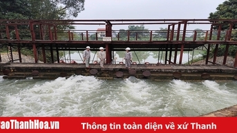 Chủ động phục vụ nước tưới và chống xâm nhập mặn cây trồng