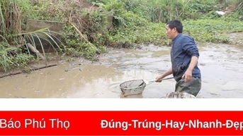 Chủ động con giống chất lượng cho vụ xuân hè 2025