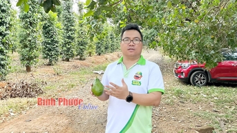 Dang Duong Minh Hoang은 '디지털 농업'의 선구자입니다.