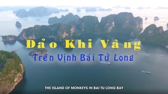 Đảo Khỉ Vàng trên Vịnh Bái Tử Long