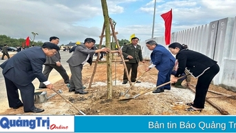 Hơn 197.000 cây xanh được trồng nhân dịp Tết trồng cây đời đời nhớ ơn Bác Hồ xuân Ất Tỵ
