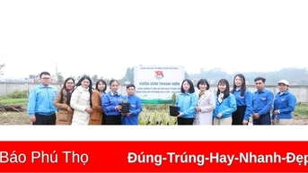 Tuổi trẻ Tam Nông góp thêm sắc xanh cho quê hương