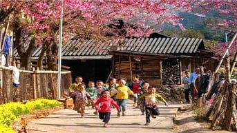 Ươm mầm Kỳ Sơn