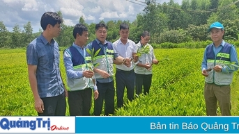 Xây dựng chuẩn chất lượng vườn ươm giống cây lâm nghiệp