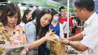 Chương trình OCOP khoác “áo mới” cho nông sản Ninh Thuận