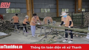Xu hướng chế biến sâu trong lâm sản