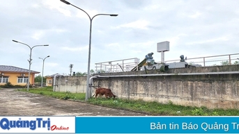ក្រោយ​ការ​សាង​សង់​អស់​រយៈ​ពេល​ជាង ៧​ឆ្នាំ និង​ការ​ពង្រីក​ចំនួន ៧ រោងចក្រ​ប្រព្រឹត្តិកម្ម​ទឹក​សំណល់ Quan Ngang នៅ​តែ​មិន​អាច​ដំណើរ​ការ​បាន។
