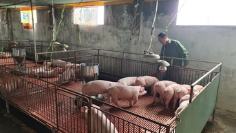 Nông dân lãi từ 500.000