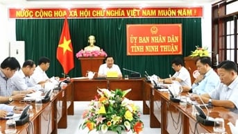 UBND tỉnh họp đôn đốc triển khai các dự án năng lượng trong Quy hoạch điện VIII
