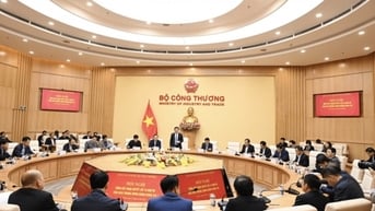 Chức năng, nhiệm vụ, quyền hạn của Vụ Tổ chức cán bộ