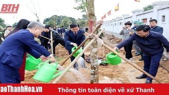 Thị xã Nghi Sơn phấn đấu trồng hơn 200.000 cây xanh dịp Tết trồng cây Xuân Ất Tỵ 
