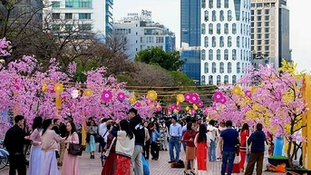 Đà Nẵng: Du lịch Tết Ất Tỵ 2025, lượng khách tăng mạnh