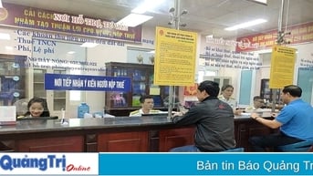 Ngành Thuế hoàn thành xuất sắc nhiệm vụ thu ngân sách