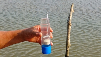 Dân nuôi tôm trên ruộng lúa Kiên Giang làm nhiều cách để phòng tránh xâm nhập mặn