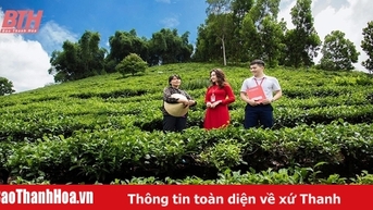 Những “cánh chim” không mỏi kiến thiết mùa xuân mới ấm no