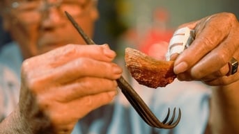 Rạng danh nghề yến Khánh Hòa