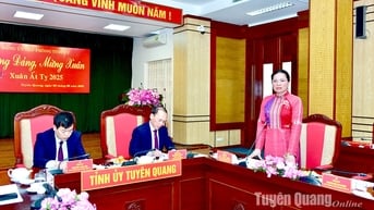 Thường trực Tỉnh ủy Tuyên Quang dự gặp mặt đầu Xuân Ất Tỵ 2025 với Văn phòng Tỉnh uỷ