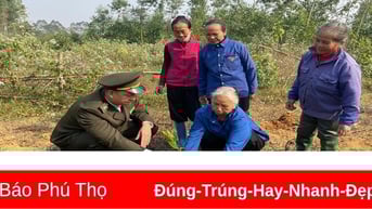 Rừng Đất Tổ xanh mãi