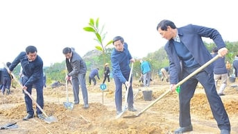 Thành phố Tuyên Quang trồng 1.750 cây keo lai mô tại Tết trồng cây đời đời nhớ ơn Bác Hồ