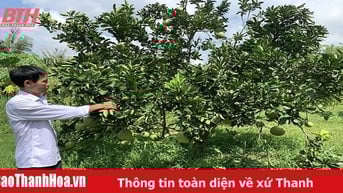 Agribank Bắc Thanh Hóa đồng hành với sự phát triển của các địa phương