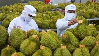 Xuất khẩu rau quả giảm tốc trong tháng đầu năm 2025