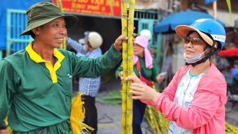 Hoan hỉ mua bán mía vàng trước ngày vía Ngọc Hoàng