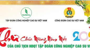 Thư chúc mừng năm mới của Chủ tịch HĐQT VRG Trần Công Kha
