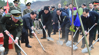 Chủ tịch nước Lương Cường phát động Tết trồng cây "Đời đời nhớ ơn Bác Hồ" Xuân Ất Tỵ năm 2025